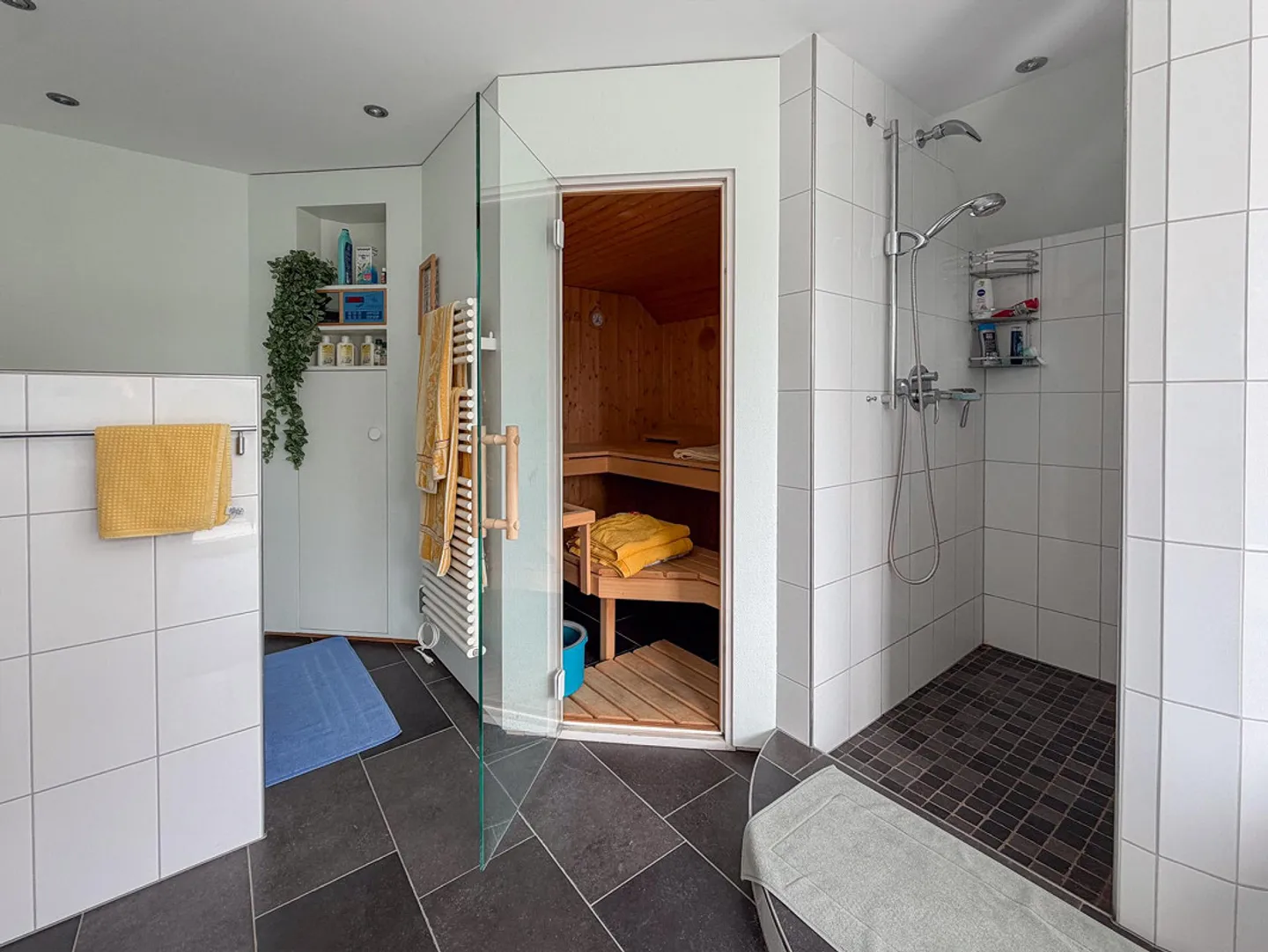 4-room apartment with panoramic view of the Alpstein and the Säntis - Photo 8 of 11