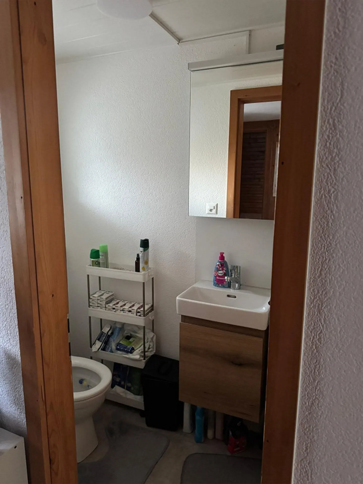 Maison de 5,5 pièces + appartement de 2,5 pièces à louer - Photo 17 sur 21