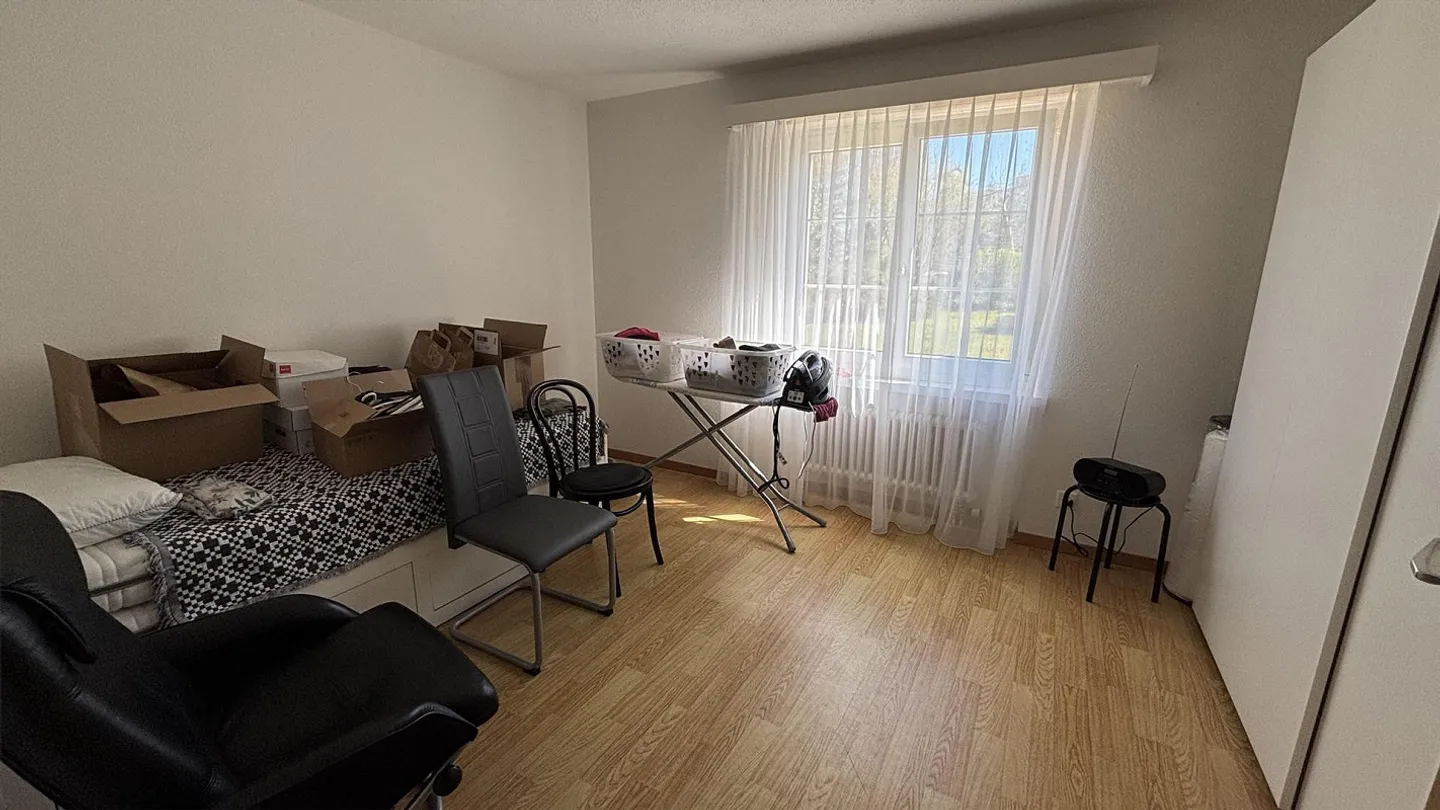 Dans le vert - Photo 5 sur 12