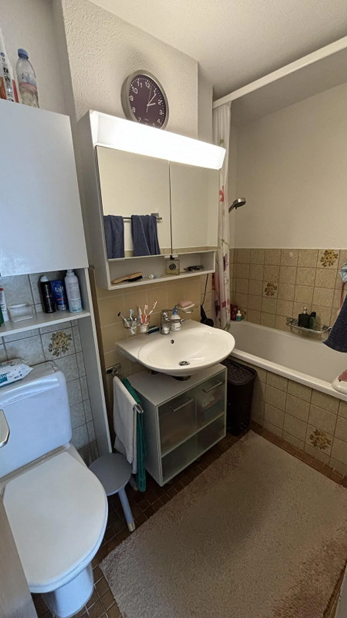 Dans le vert - Photo 7 sur 12