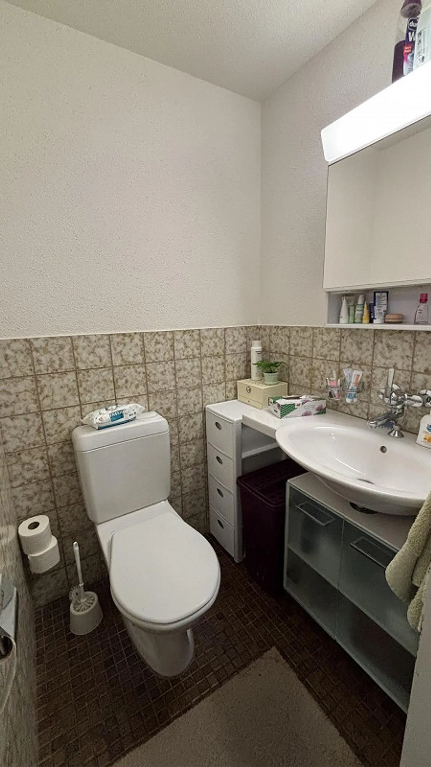 Dans le vert - Photo 8 sur 12