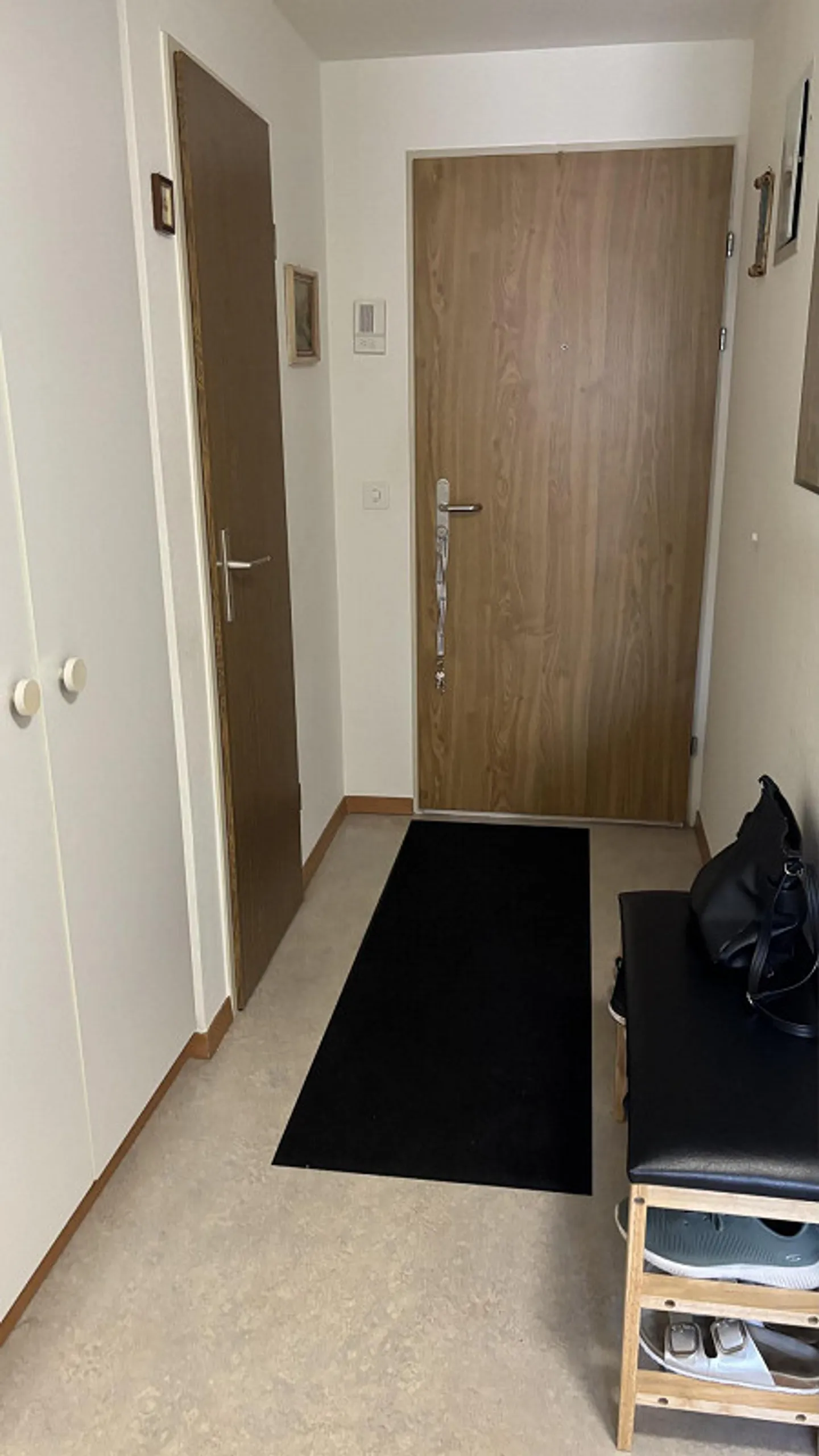 Dans le vert - Photo 10 sur 12