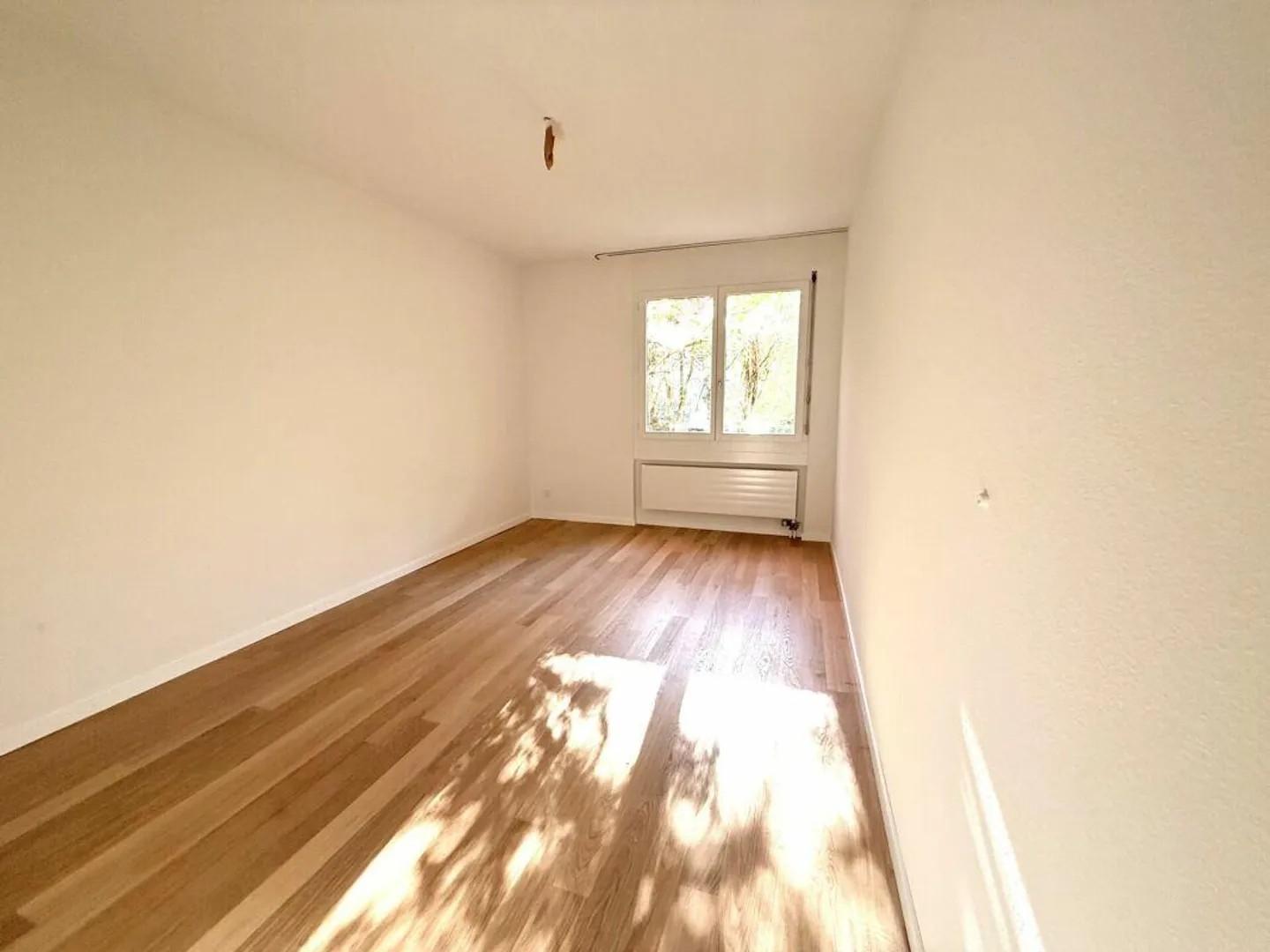 Appartamento di 4.5 locali recentemente ristrutturato ad Albisrieden con area salotto privata in giardino - Foto 5 di 8