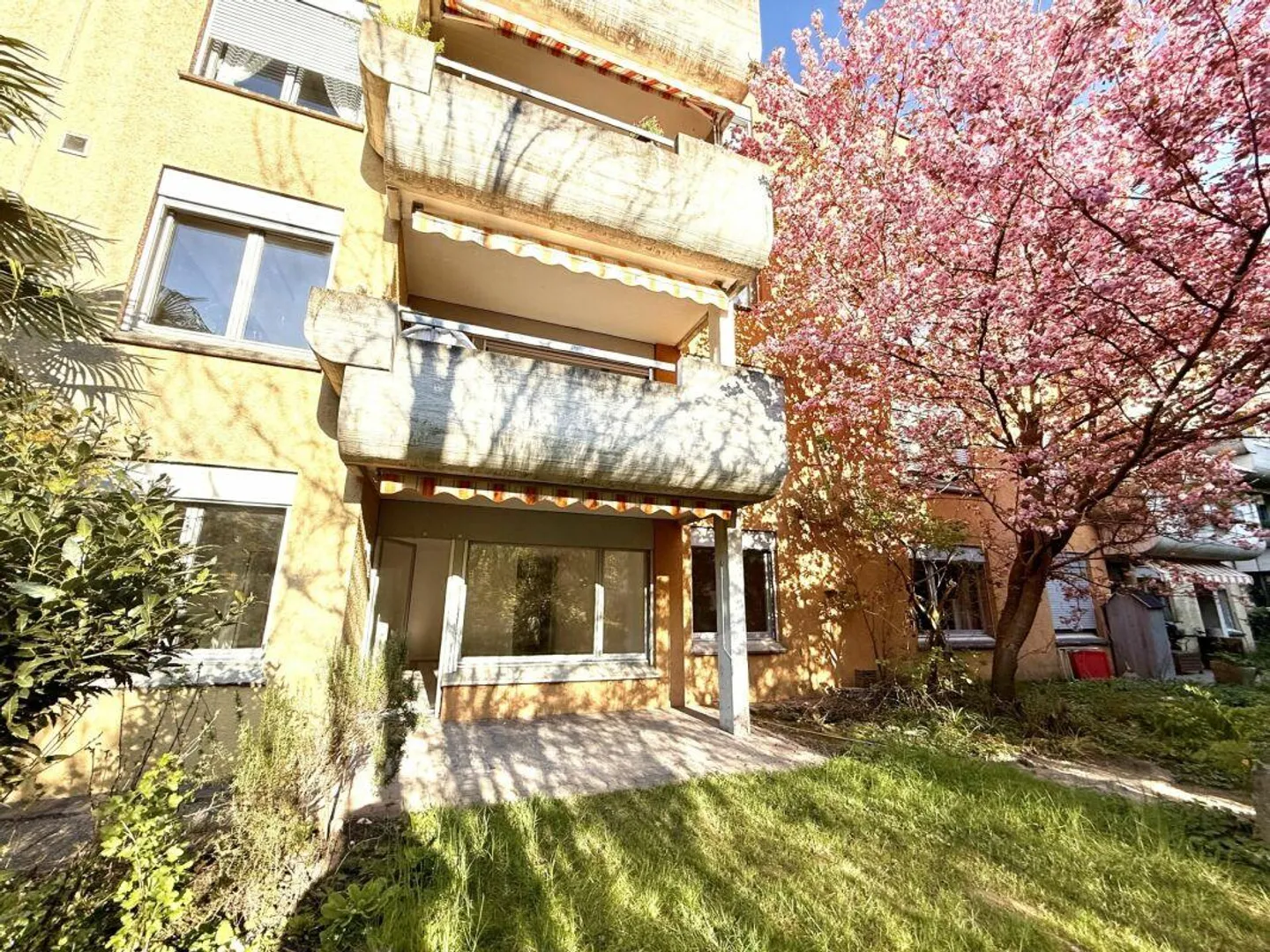 Appartamento di 4.5 locali recentemente ristrutturato ad Albisrieden con area salotto privata in giardino - Foto 2 di 8