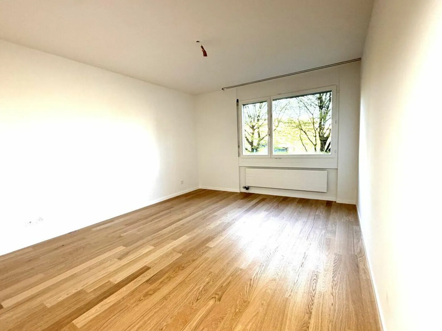 Appartamento di 4.5 locali recentemente ristrutturato ad Albisrieden con area salotto privata in giardino - Foto 3 di 8
