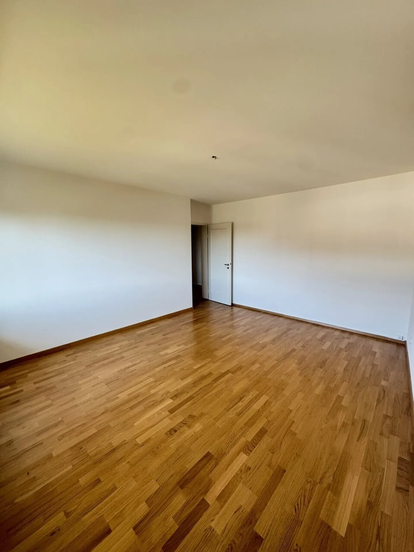 Appartamento 5 locali a Witikon - Foto 4 di 8