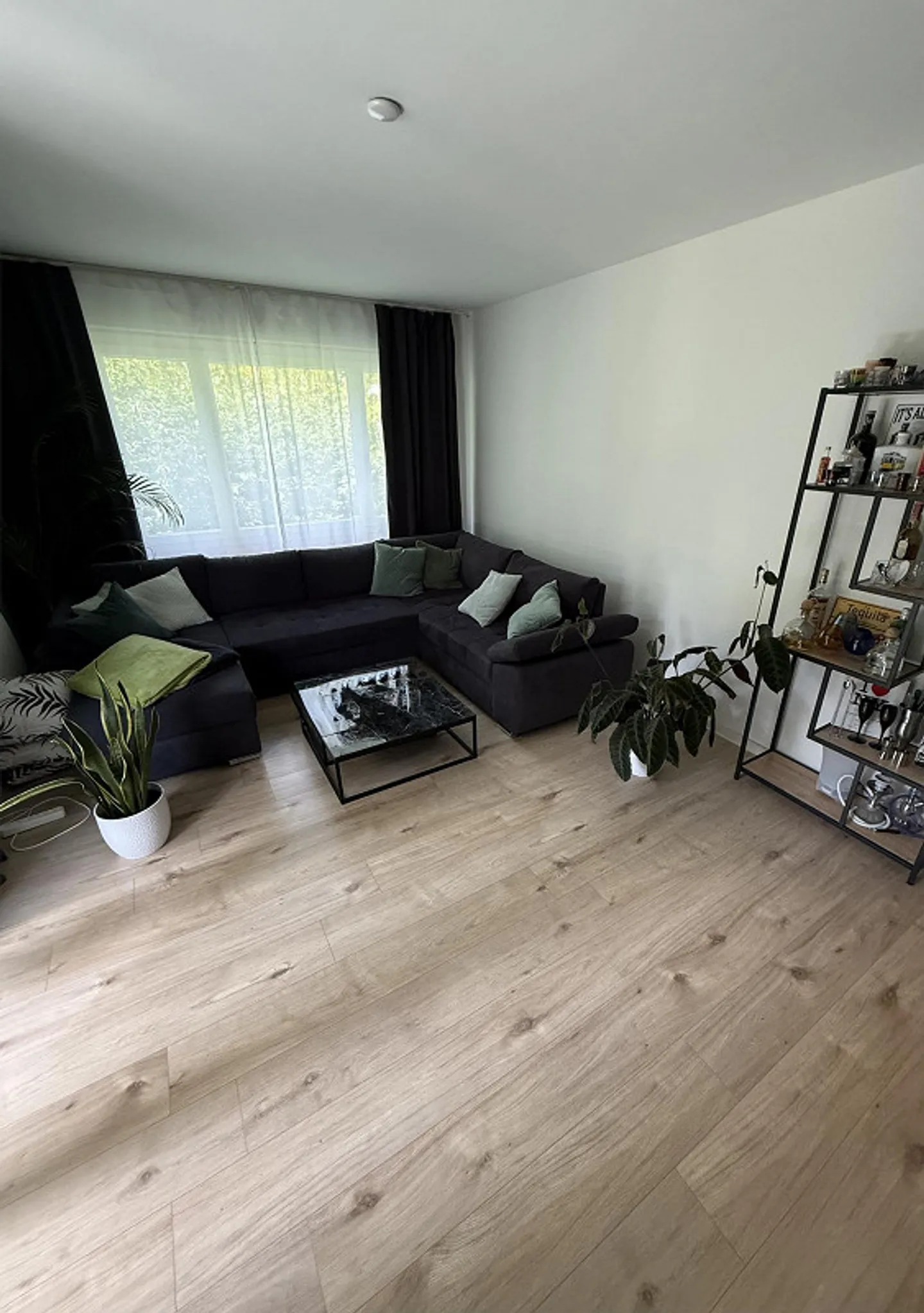 Appartamento arredato di 2,5 stanze a Zurigo-Wollishofen - Foto 2 di 8
