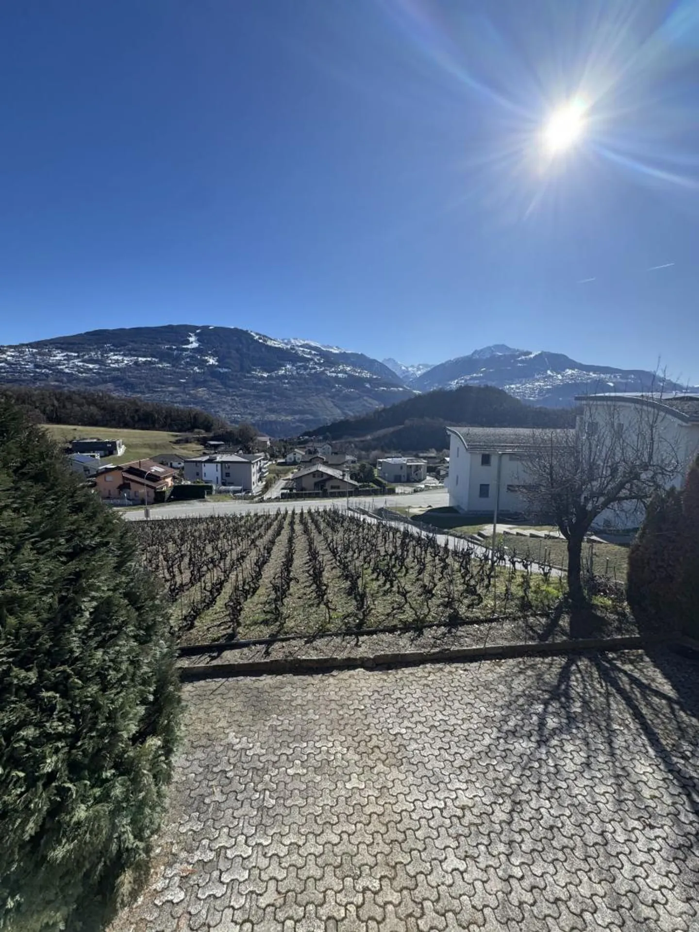 Villa Diolly - Foto 7 di 13