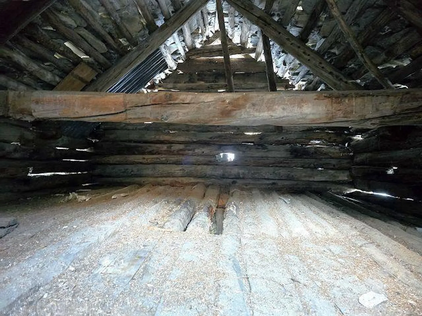 Renovierungsmöglichkeit in der Natur - Foto 15 von 31