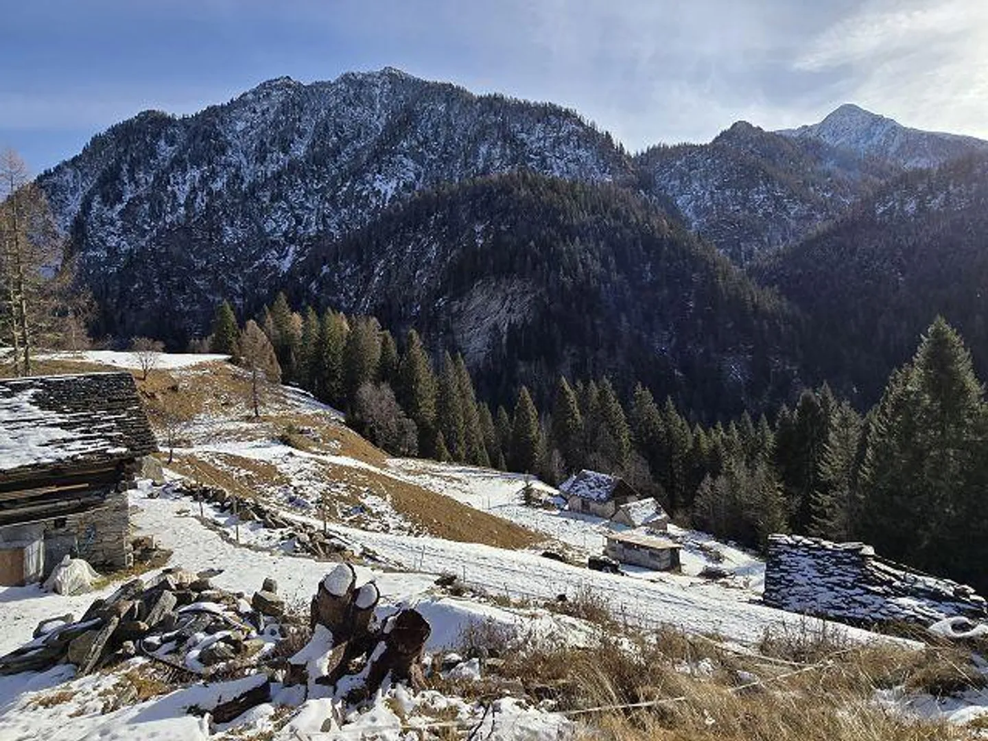 Renovierungsmöglichkeit in der Natur - Foto 21 von 31