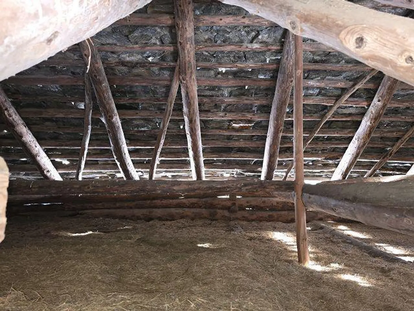 Renovierungsmöglichkeit in der Natur - Foto 17 von 31