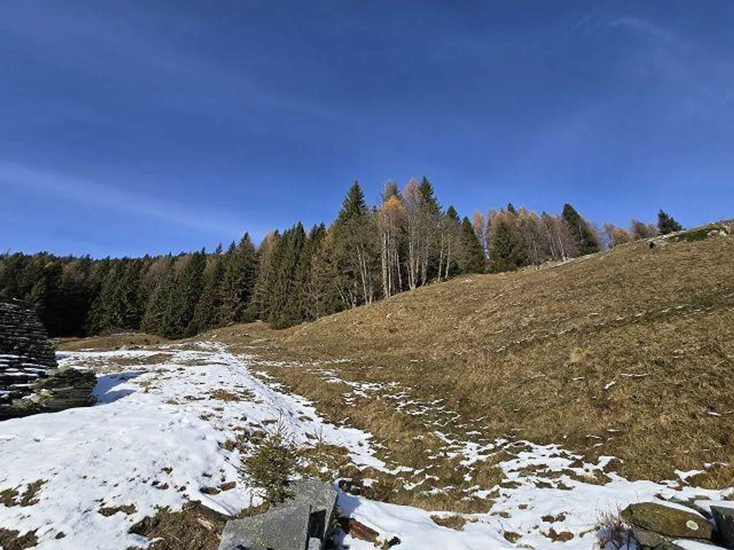 Renovierungsmöglichkeit in der Natur - Foto 20 von 31