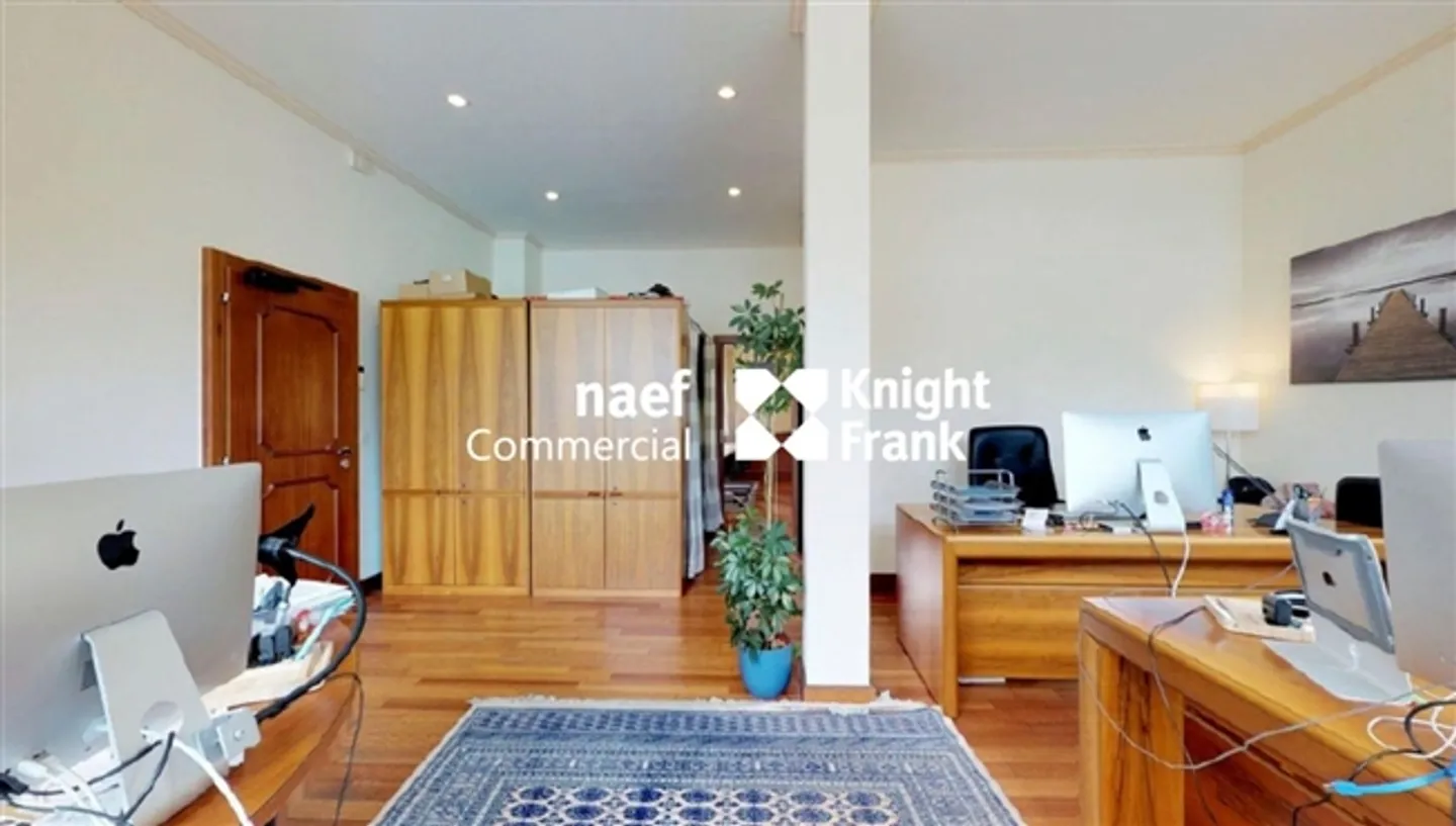 «Arcade/Ufficio di lusso in affitto Quai du Rhône 8» - Foto 5 di 5