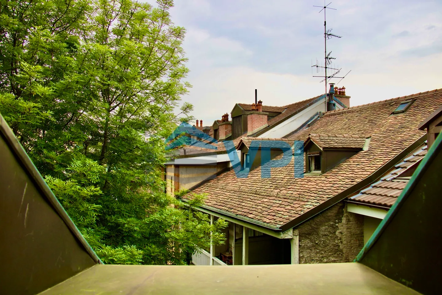 Charming Apartment in Carouge - Photo 5 of 5