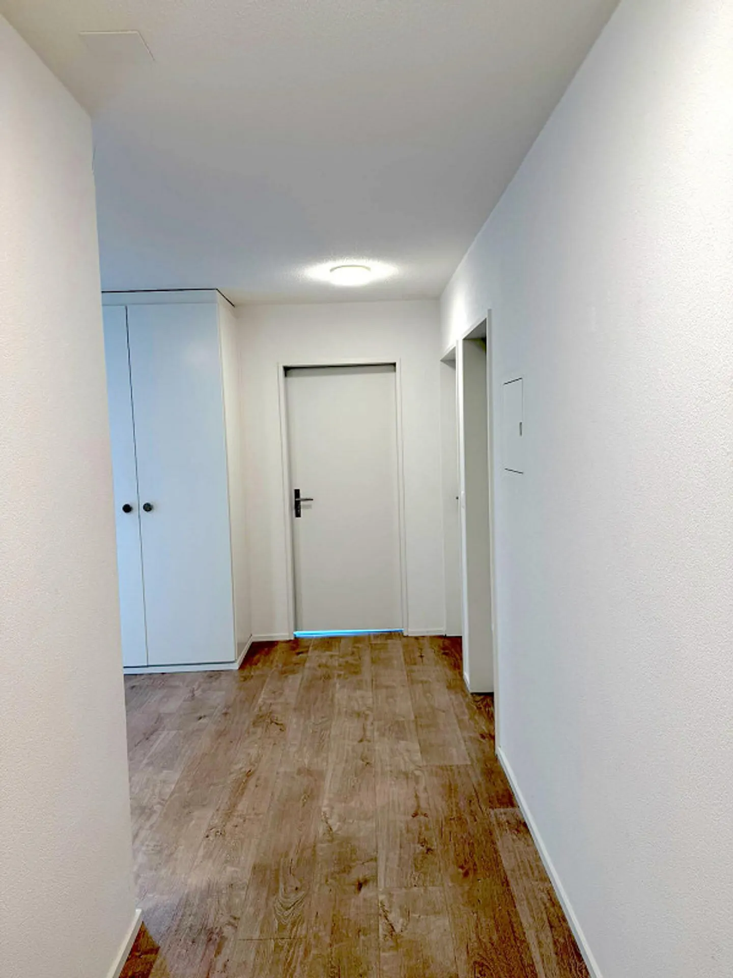 Apartment with a View (Renovated) - Photo 6 of 10