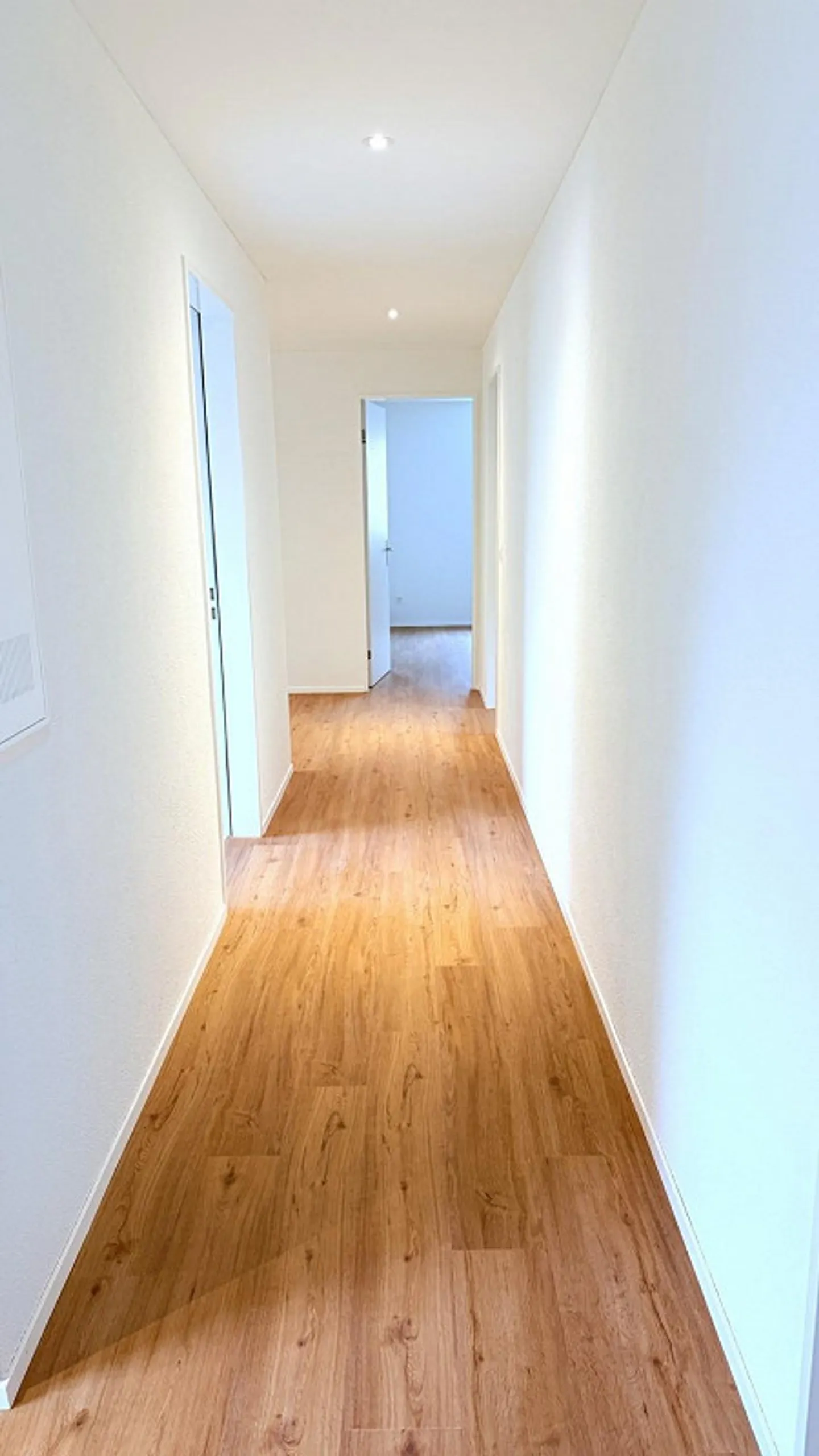 First rental Modern 4.5-room apartments in a quiet and sunny location... - Photo 9 of 13