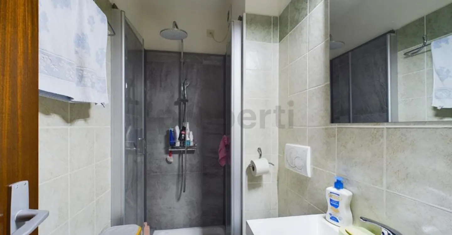 Ampio Appartamento Ristrutturato - Foto 7 di 10