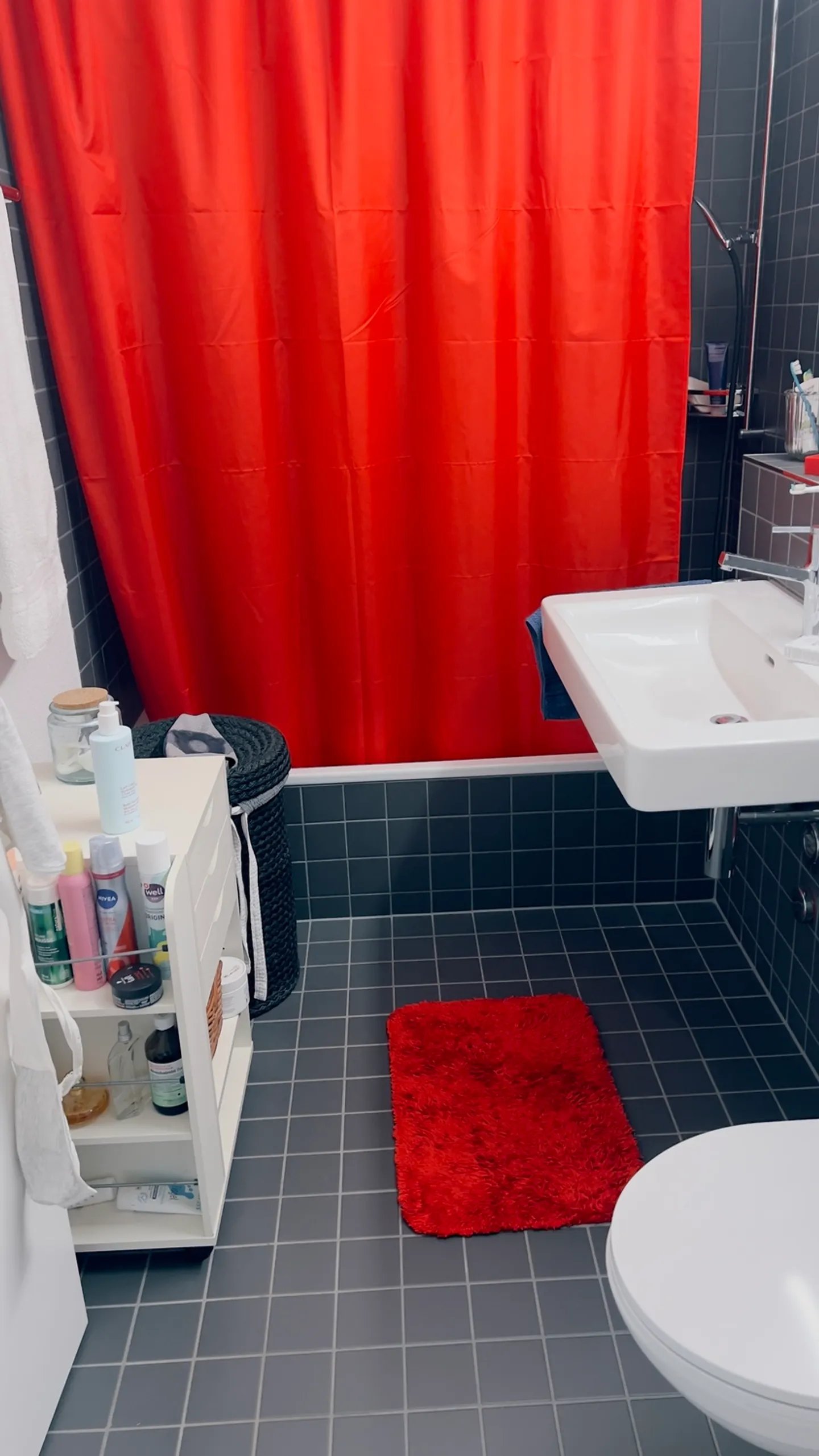 APPARTAMENTO ATTICO 2½ STANZE A BADEN (AG), ARREDATO, TEMPORANEO - Foto 7 di 7