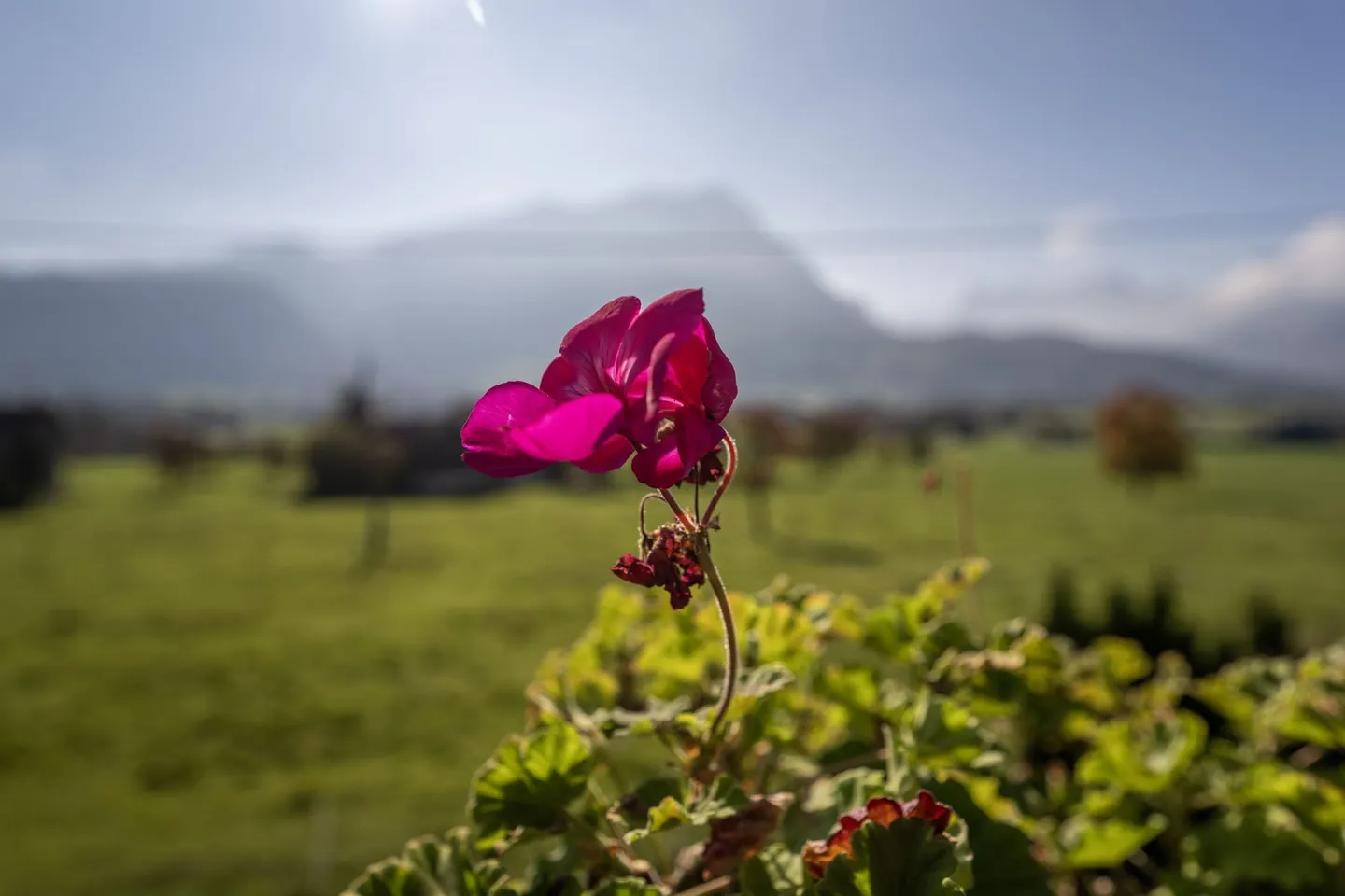 MythenHorizon - Grosses EFH in Schwyz - Foto 14 von 25