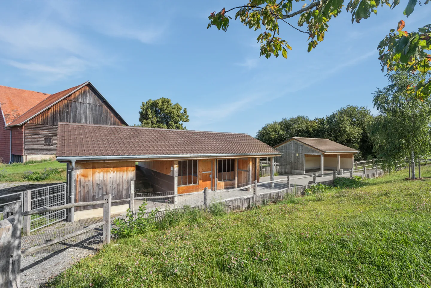Magnificent renovated farmhouse with stable and paddock - Photo 12 of 13