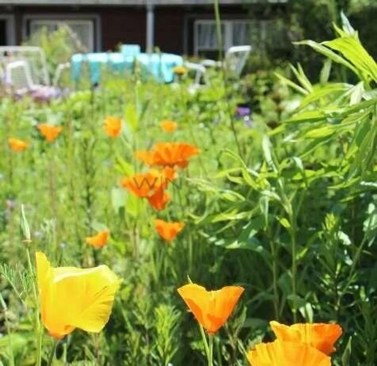 8 Zi-Wohnhaus mit Garage & Garten - Foto 6 von 13