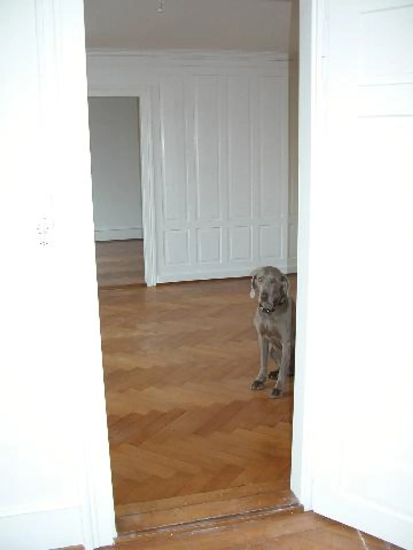 Gently renovated 4-room old building apartment in the center - Photo 2 of 8