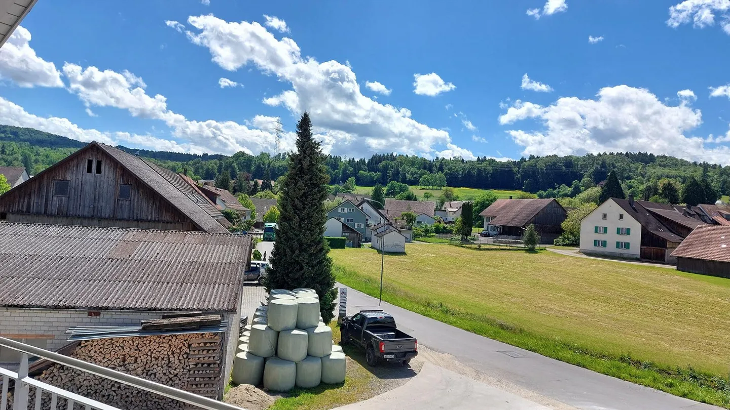 Geräumige 4.5 Zimmer Wohnung - Foto 18 von 19