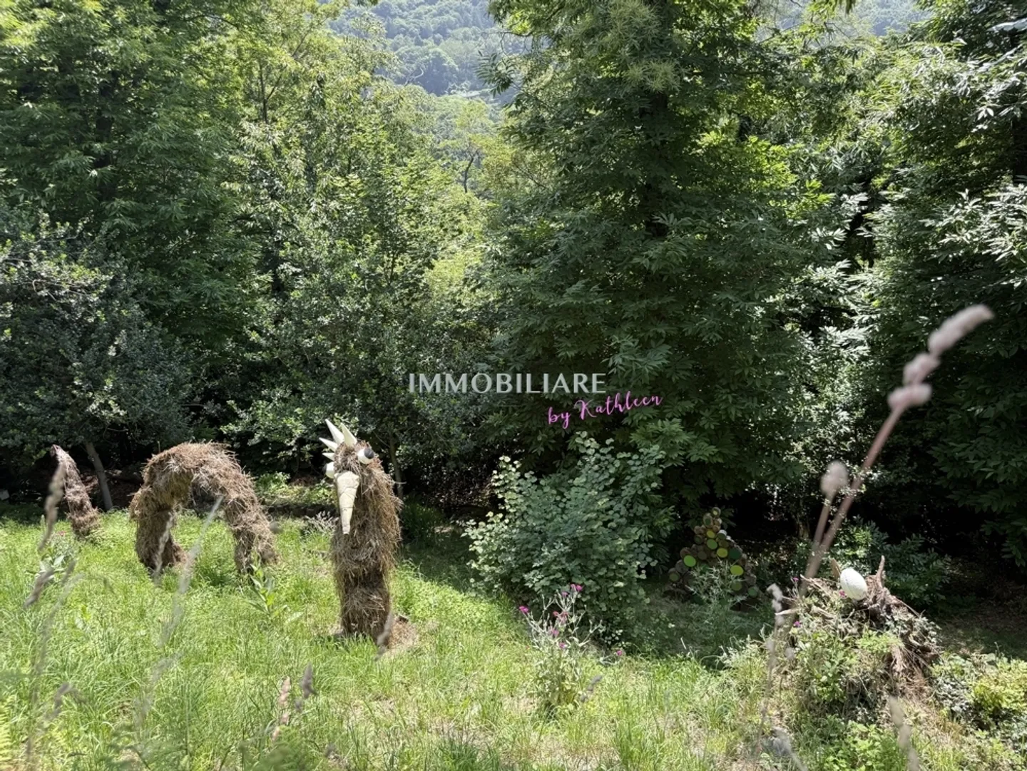 Living in Nature, 2,300 m² Buildable Land, Panoramic View - Photo 10 of 13