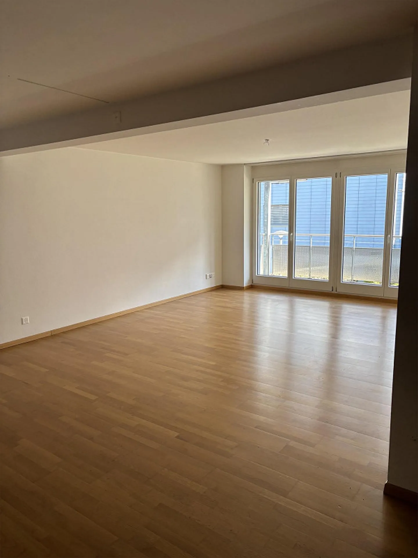 Geräumige Familienwohnung in Zürich - Foto 2 von 9