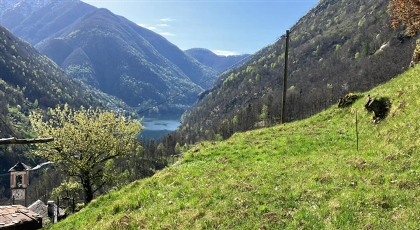 «Rustico zum Ausbauen mit Wiese an sehr schöner Aussichtslage / rustico da riattare con prato in una posizione con bella vista» - Foto 5 von 9