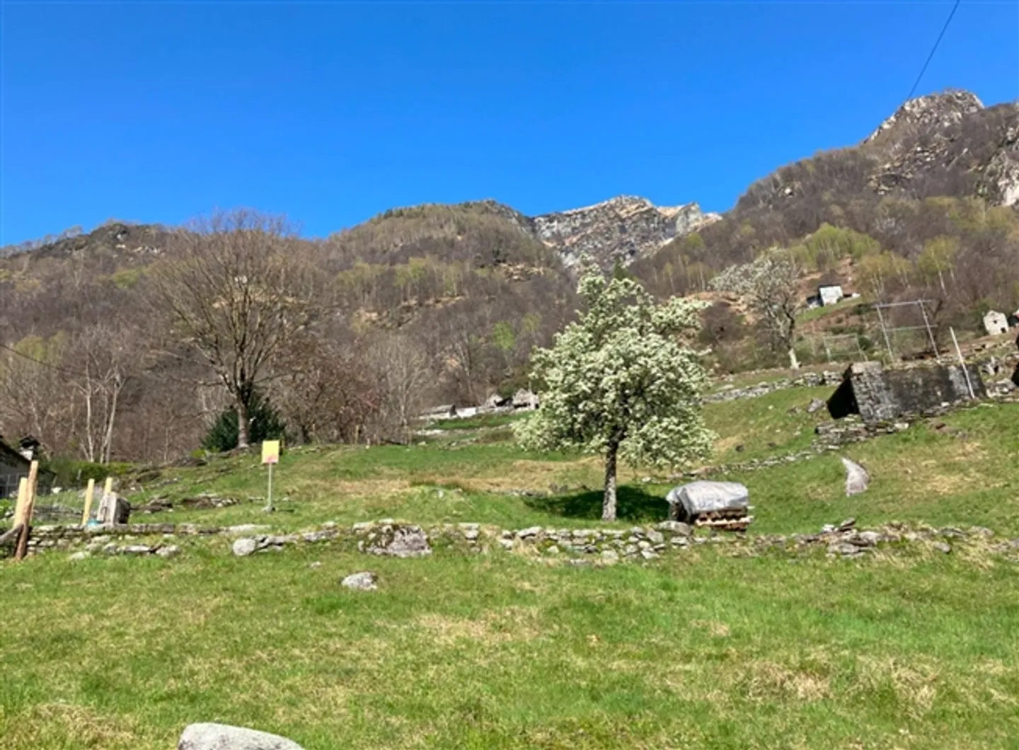 «Rustico zum Ausbauen mit Wiese an sehr schöner Aussichtslage / rustico da riattare con prato in una posizione con bella vista» - Foto 6 von 9