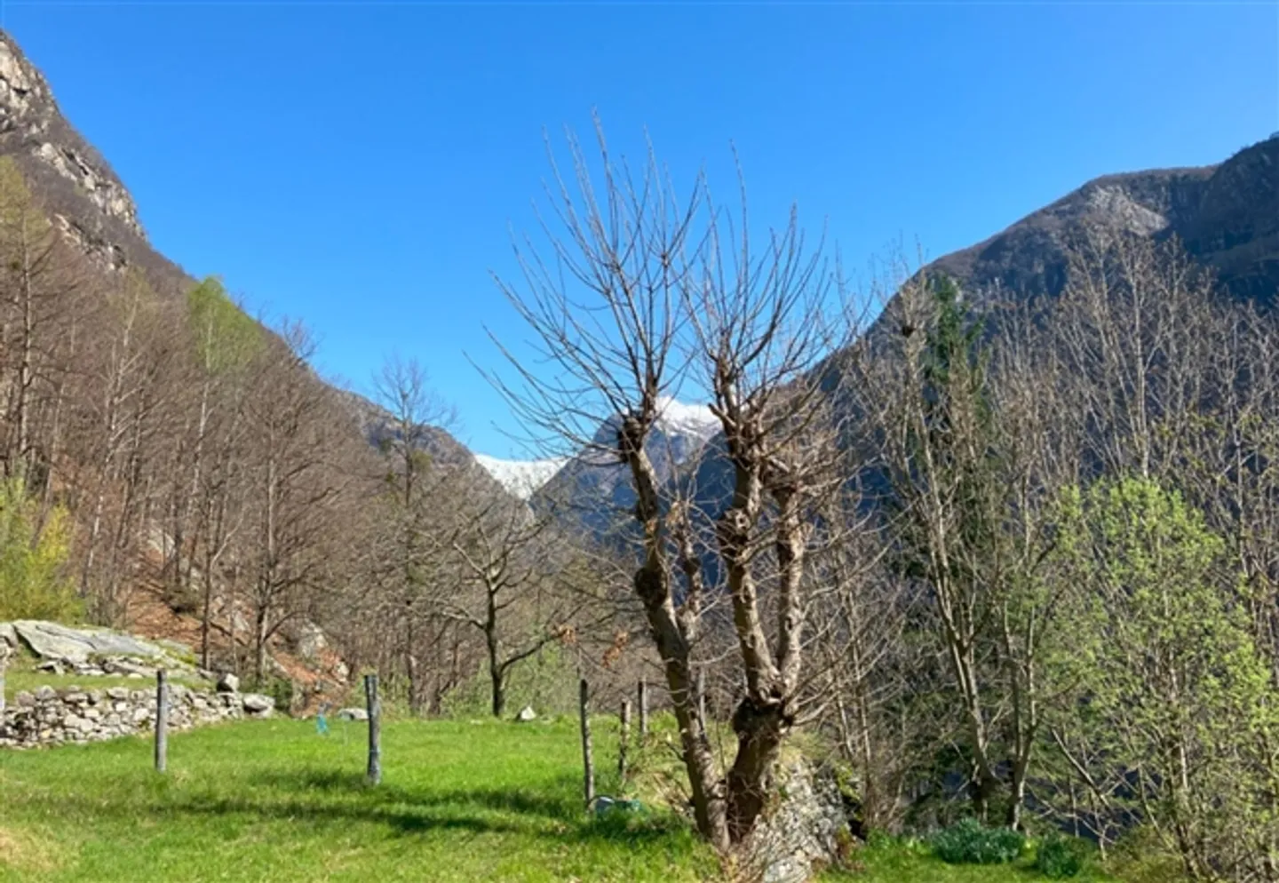 «Rustico zum Ausbauen mit Wiese an sehr schöner Aussichtslage / rustico da riattare con prato in una posizione con bella vista» - Foto 7 von 9
