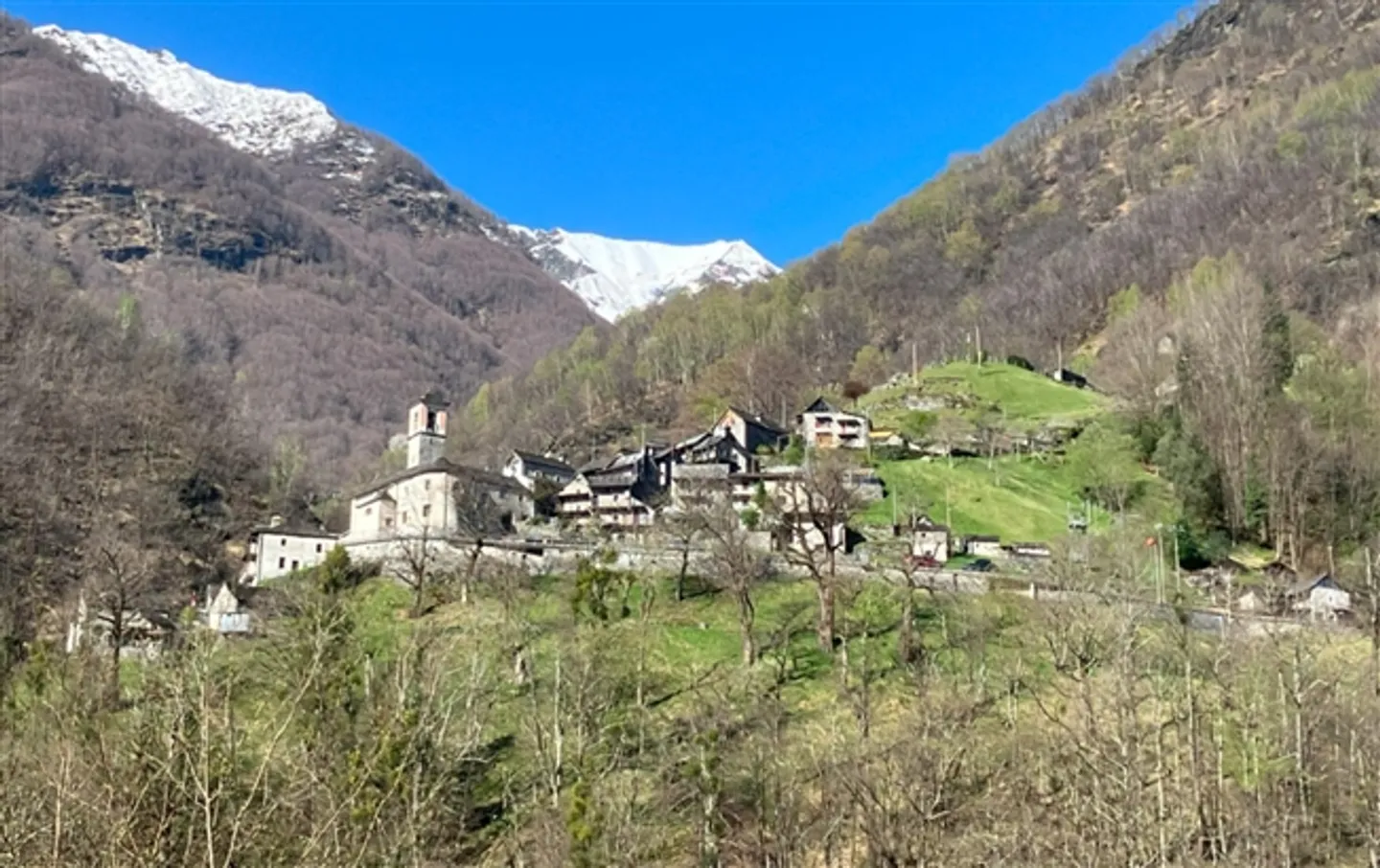 «Rustico zum Ausbauen mit Wiese an sehr schöner Aussichtslage / rustico da riattare con prato in una posizione con bella vista» - Foto 8 von 9