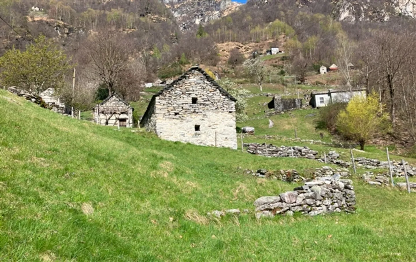 «Rustico zum Ausbauen mit Wiese an sehr schöner Aussichtslage / rustico da riattare con prato in una posizione con bella vista» - Foto 2 von 9