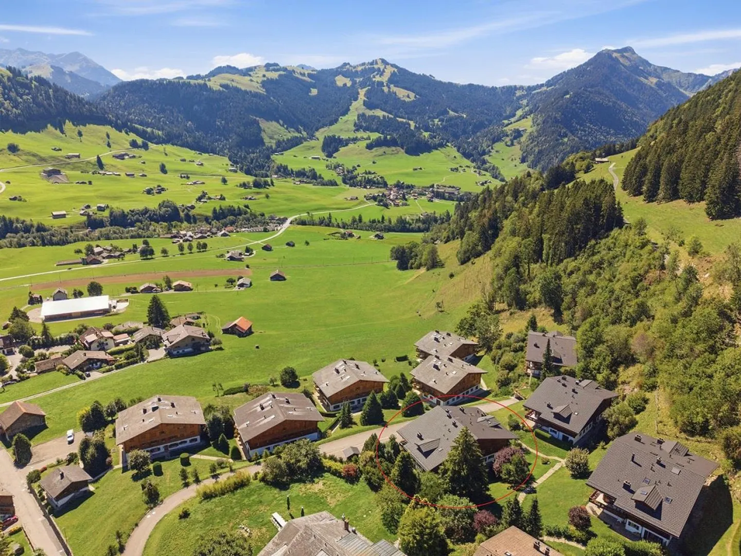 Alpine Dream Home with Panoramic View in Château-d'OEx - Photo 5 of 23