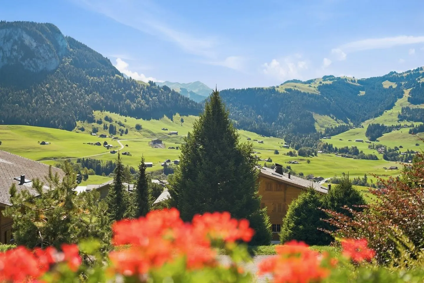 Alpine Dream Home with Panoramic View in Château-d'OEx - Photo 18 of 23