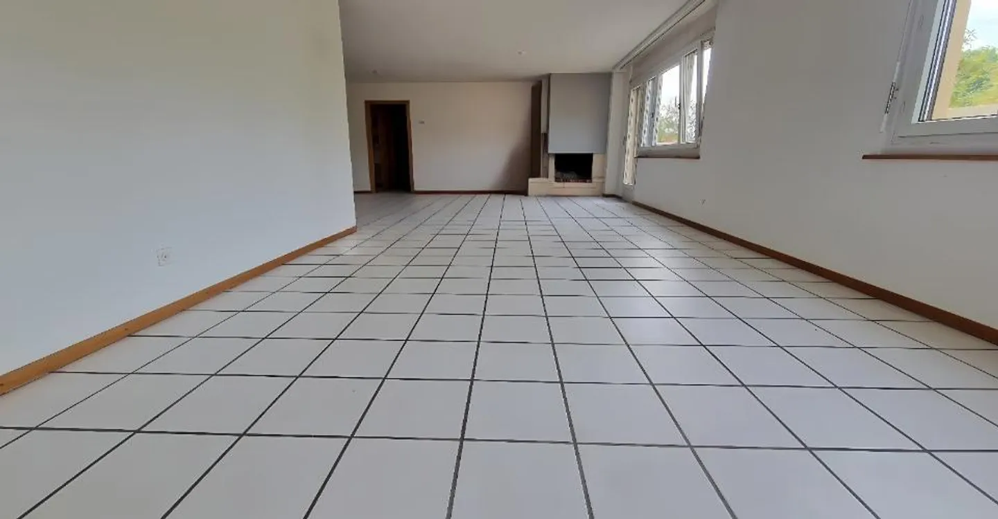 Spacious Attic with Terraces - Photo 2 of 15