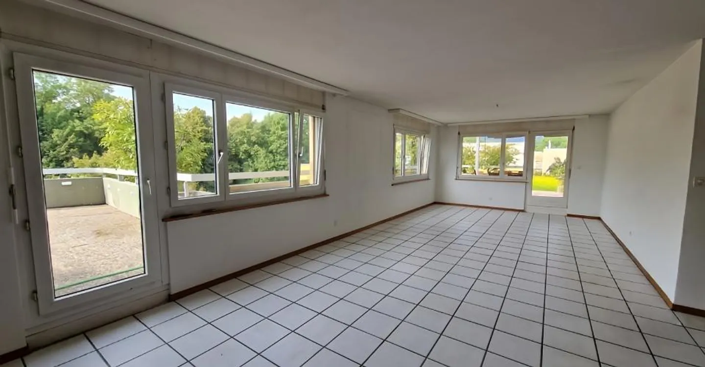 Spacious Attic with Terraces - Photo 3 of 15