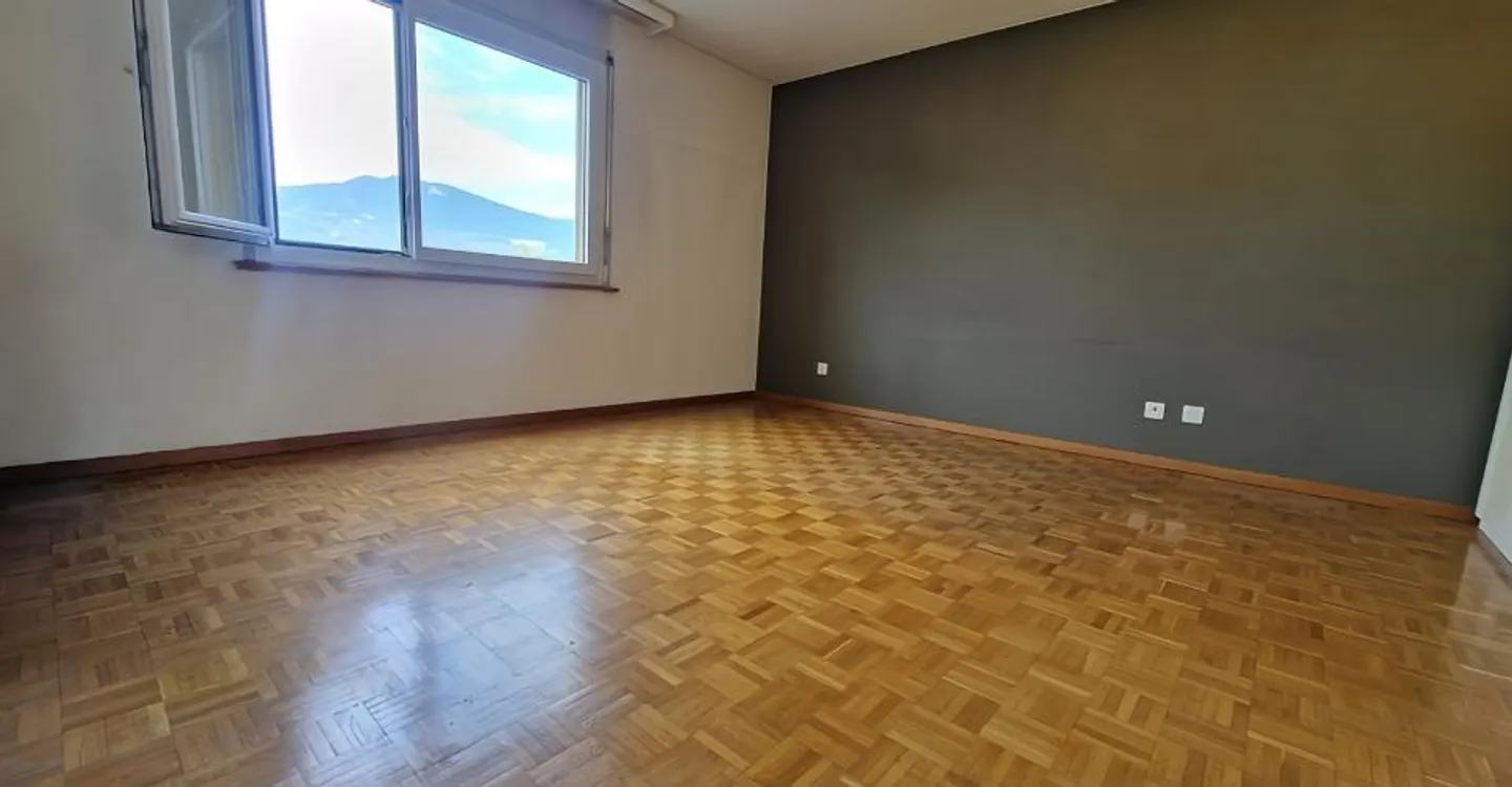 Spacious Attic with Terraces - Photo 4 of 15