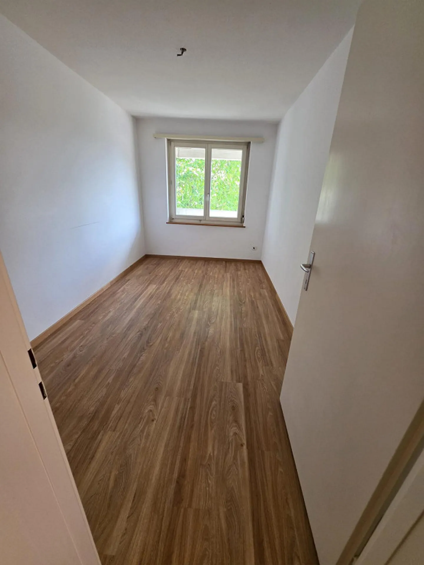 Looking for tenant - Photo 3 of 7