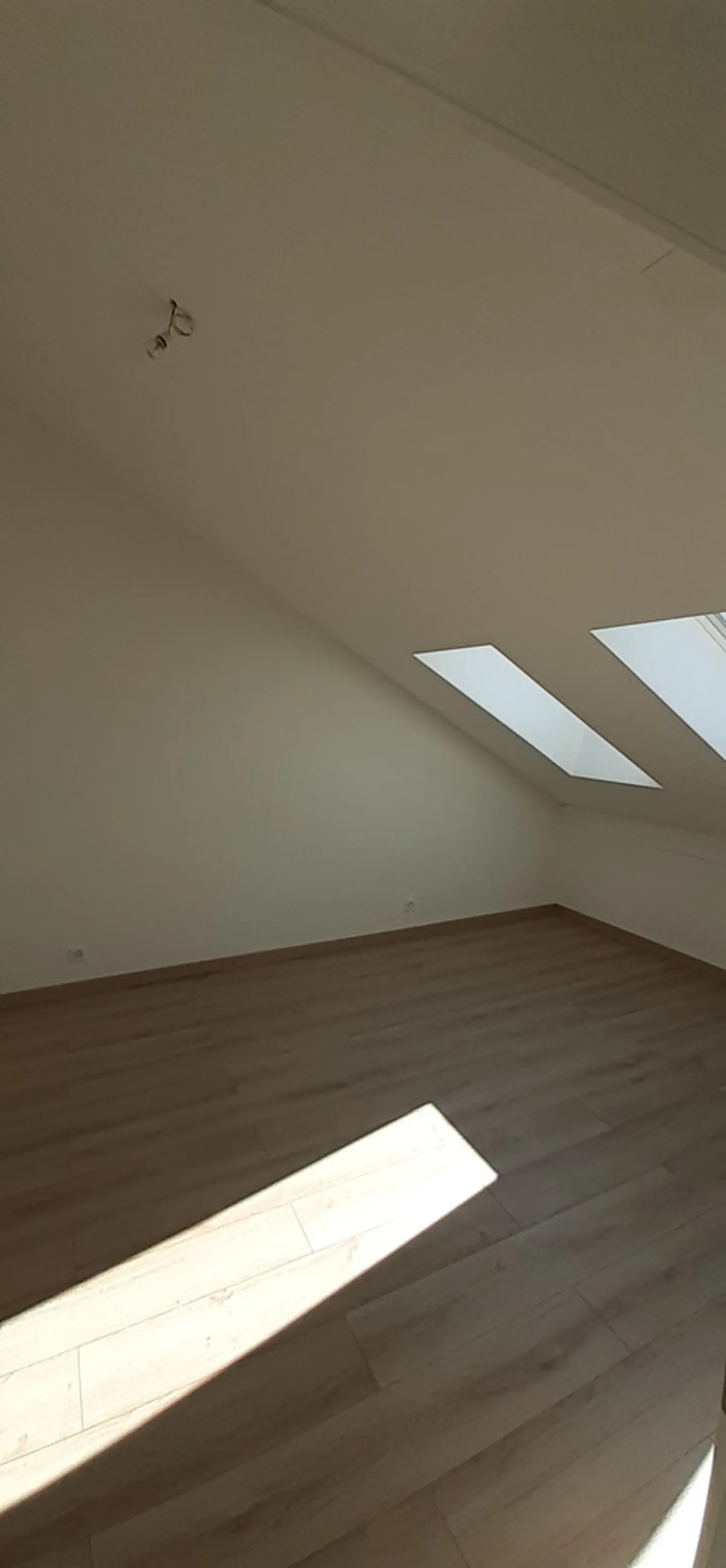 Une terrasse sur les toits orientée soleil couchant - Photo 5 sur 7