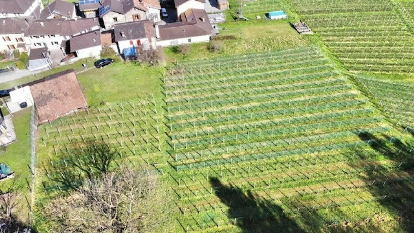 VENDESI A CAMORINO (NUCLEO) - TERRENO EDIFICABILE CON IMMOBILI - Foto 5 di 17