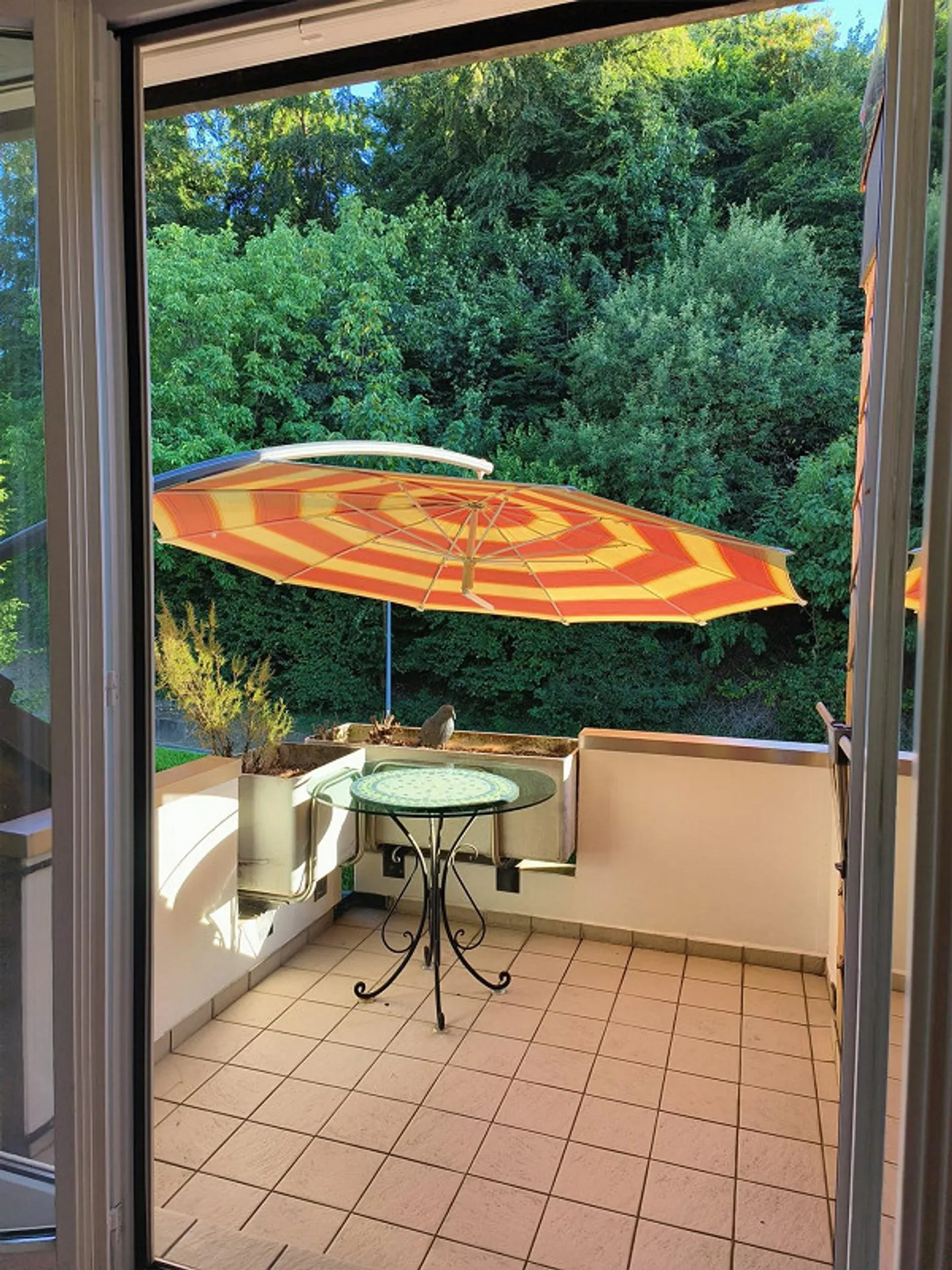 Charmante Dachwohnung in Riehen - Foto 12 von 13