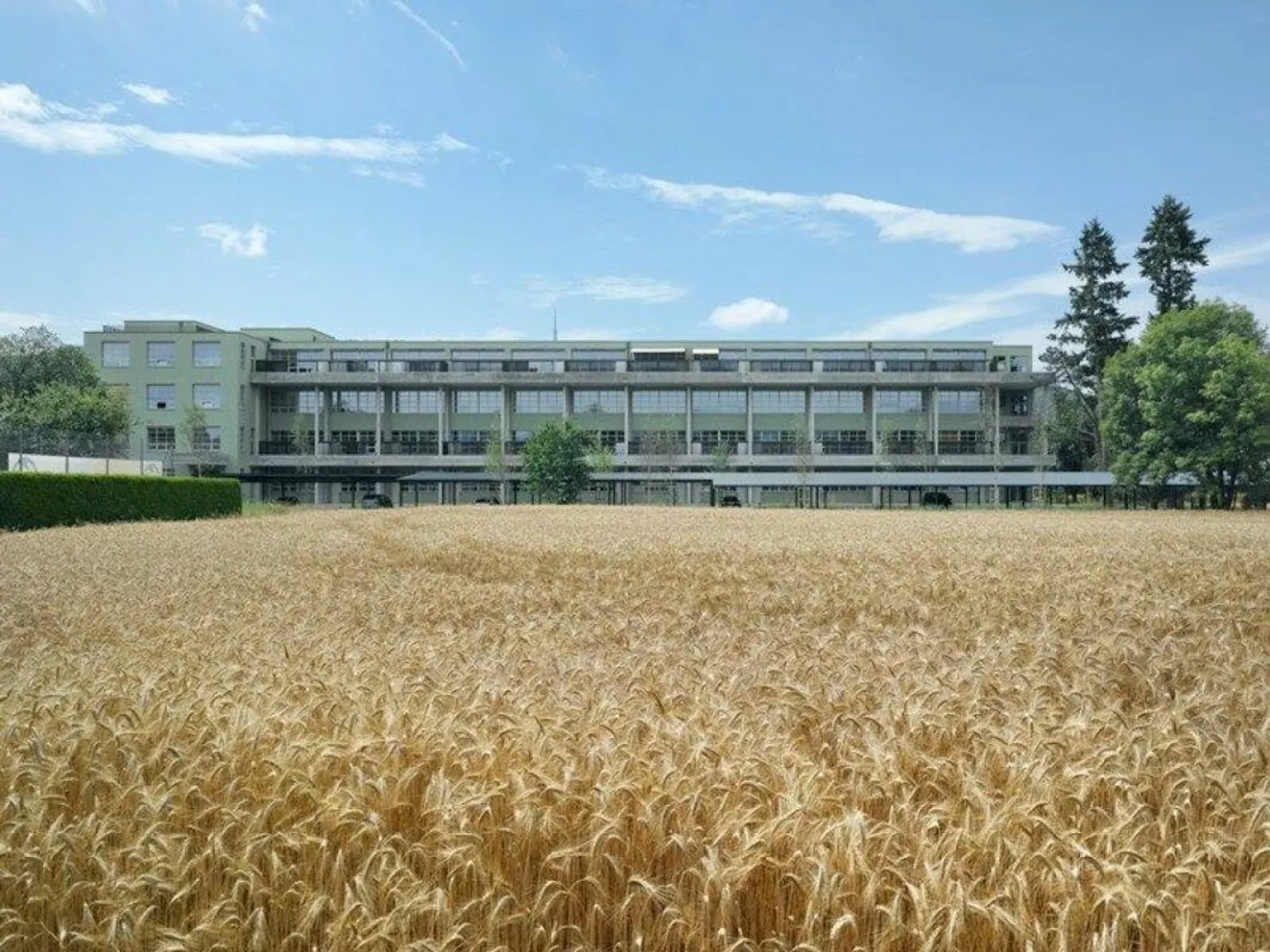 Trendiges cooles Loft mit Gartensitzplatz - Foto 4 von 5