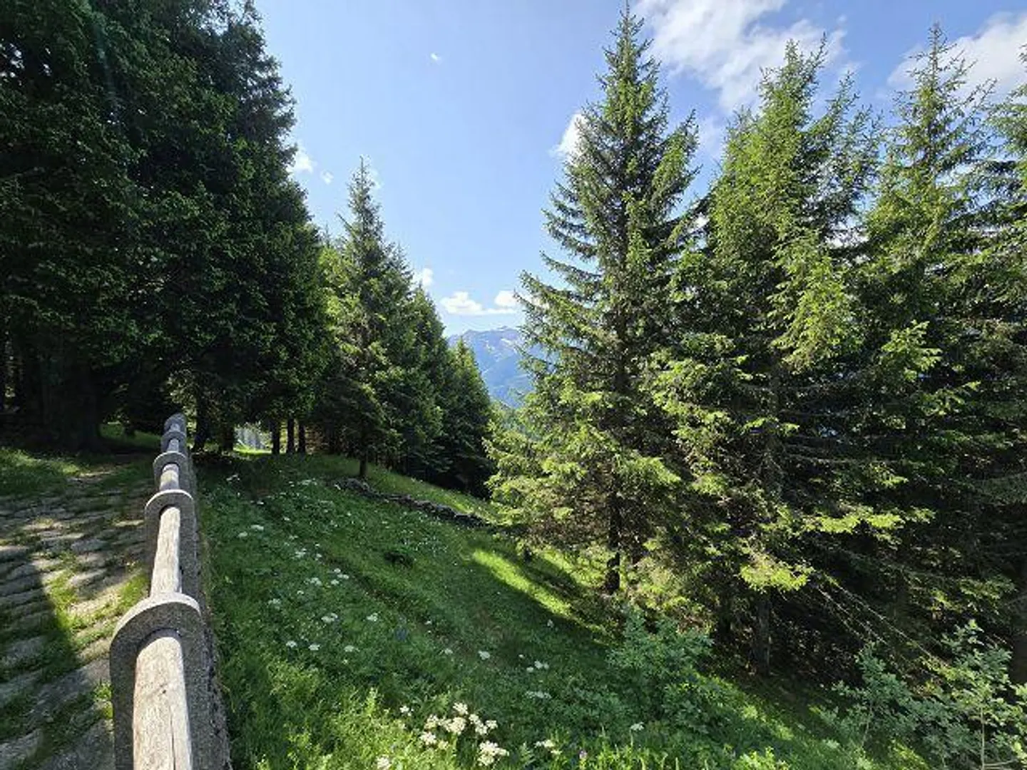 Chalet Incantevole nella Natura - Foto 26 di 46
