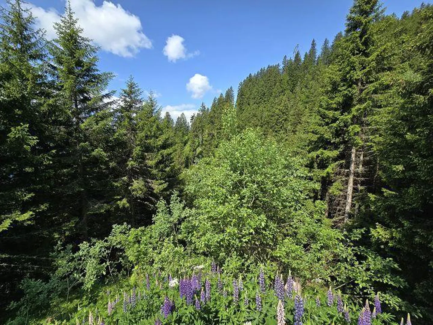 Chalet Incantevole nella Natura - Foto 27 di 46