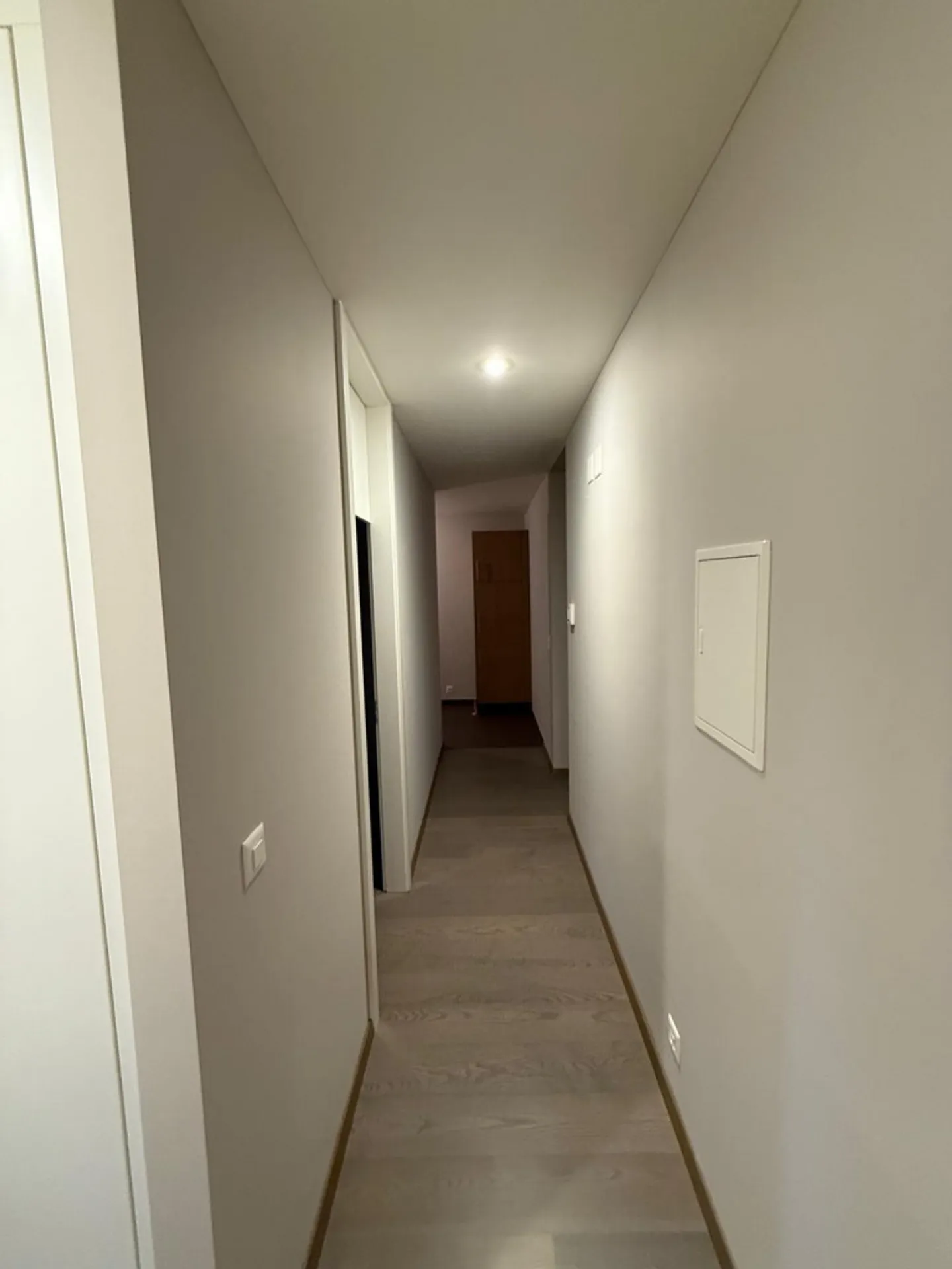 2.5 Room Apartment - Photo 4 of 6