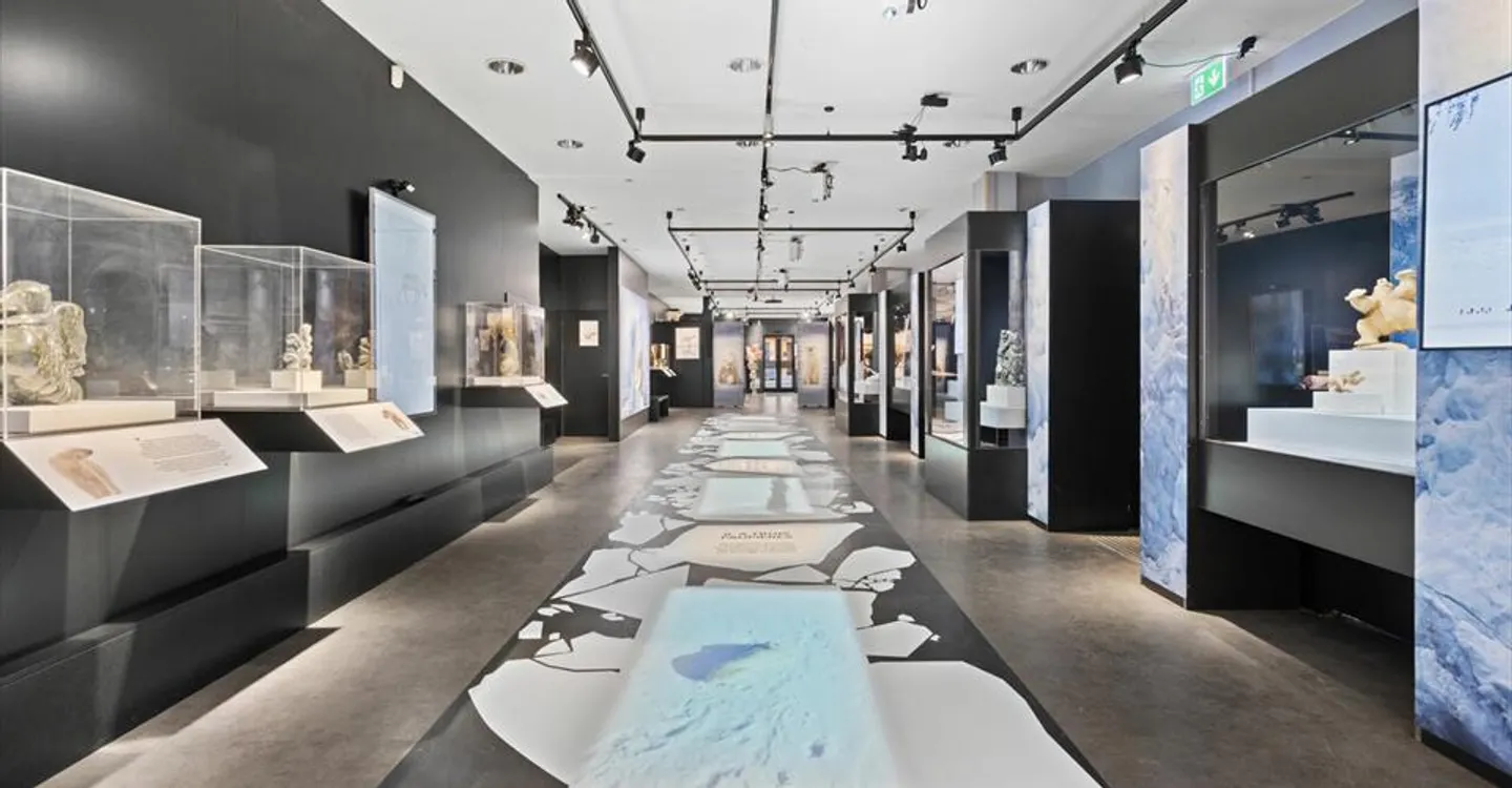Commercial Space in Crans-Montana - Photo 1 of 3