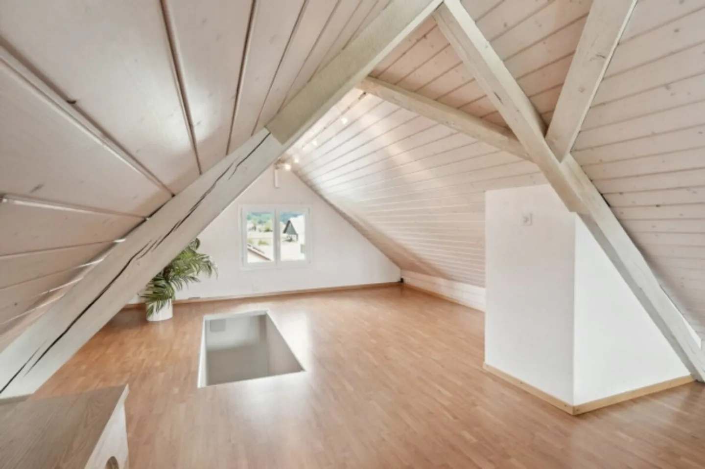 EQUESTRIAN, RESIDENTIAL AND COMMERCIAL PROPERTY WITH DIVERSE USAGE POSSIBILITIES - Photo 10 of 13