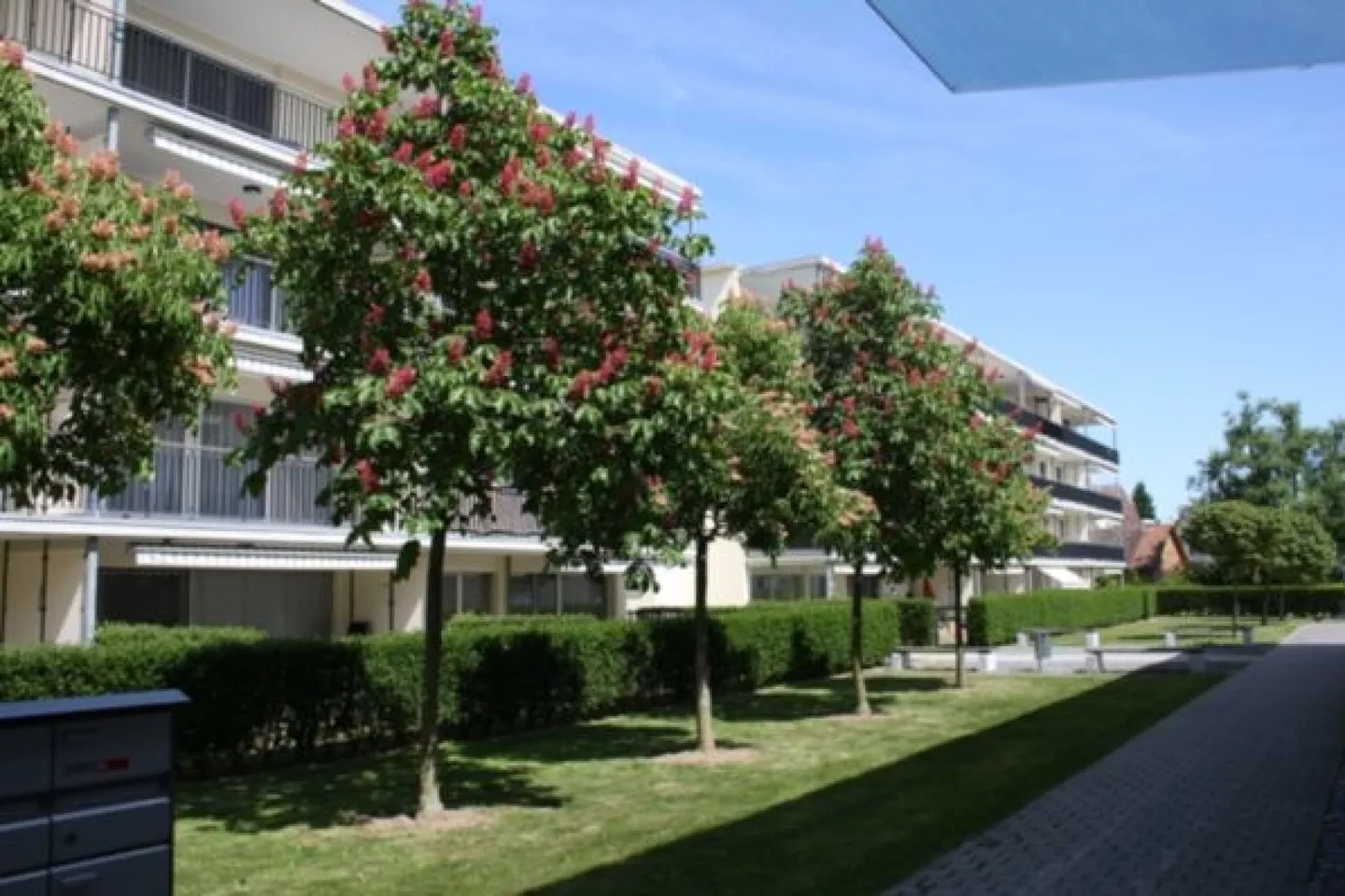 Grosszügige Wohnung mit Balkon - Foto 2 von 10